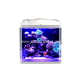Sunsun Acrylic And Plastic Dest Aquarium Fish Tank